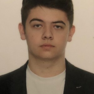 Vlad Birsa